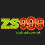 ZS999 Game