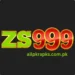 ZS999 Game