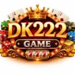 222DK Game