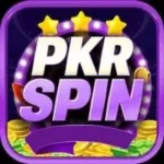PKR SPIN Game