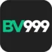 BV999 Game
